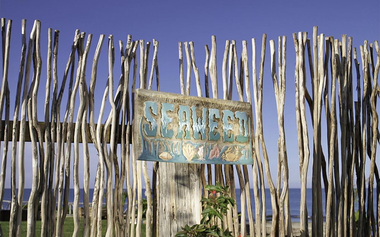 Jakes Hotel Treasure Beach Kültér fotó